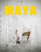 Maya poster