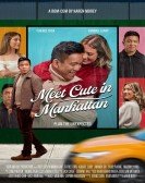 Meet Cute in Manhattan Free Download