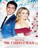 Meeting Mr. Christmas poster