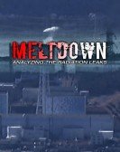 Meltdown:  Analyzing the Radiation Leaks Free Download