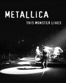 Metallica Li Free Download