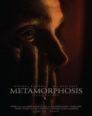 poster_metamorphosis_tt13265204.jpg Free Download