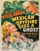 poster_mexican-spitfire-sees-a-ghost_tt0035059.jpg Free Download