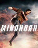 Mindhorn (2017) poster