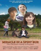 Miracle in Kasama Free Download