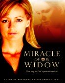 poster_miracle-of-the-widow_tt1534344.jpg Free Download