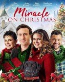 poster_miracle-on-christmas_tt11869546.jpg Free Download