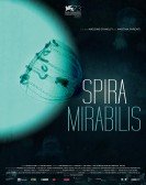 Miraculous Spiral poster