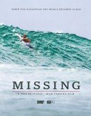 Missing poster