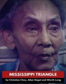 Mississippi Triangle poster