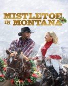 poster_mistletoe-in-montana_tt15196292.jpg Free Download