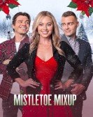 Mistletoe Mixup Free Download