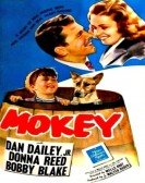 poster_mokey_tt0035074.jpg Free Download