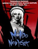 poster_mondo-new-york_tt0093558.jpg Free Download