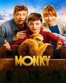 Monky Free Download