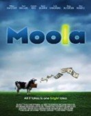 Moola poster