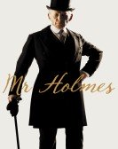Mr. Holmes (2015) Free Download