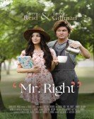 Mr. Right poster