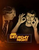 Mr. Saturday Night Free Download