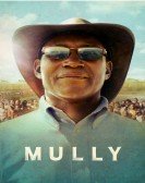 Mully poster