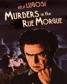 Murders in the Rue Morgue Free Download