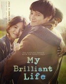 My Brilliant Life Free Download