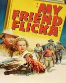 poster_my-friend-flicka_tt0036182.jpg Free Download