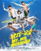 poster_my-mr-mermaid_tt6970398.jpg Free Download