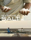 poster_my-name-is-salt_tt3276852.jpg Free Download