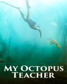 My Octopus Teacher Free Download