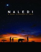 Naledi: A Baby Elephant's Tale (2016) Free Download