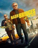 Nash Bridges Free Download