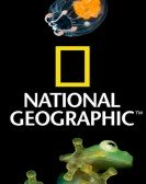 National Geo Free Download