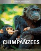 National Geographic: The New Chimpanzees Free Download