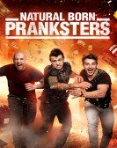 Natural Born Pranksters Free Download