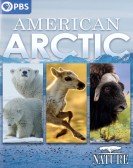 Nature: American Arctic Free Download