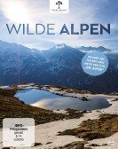 Nature: The Alps poster