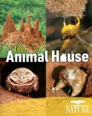 Nature: The Animal House poster