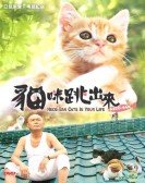 Neco-Ban 3D Tobidasu Nyanko poster