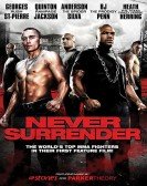 Never Surrender Free Download