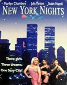 New York Nights Free Download