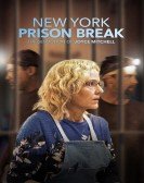 New York Prison Break the Seduction of Joyce Mitchell poster