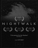 Nightwalk Free Download