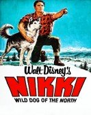 Nikki, Wild Dog of the North Free Download