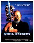 Ninja Academy poster