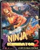 Ninja Eliminator 2: Quest of the Magic Ninja Crystal Free Download