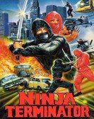 Ninja Terminator Free Download