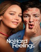 poster_no-hard-feelings_tt15671028.jpg Free Download