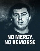 No Mercy, No Remorse Free Download