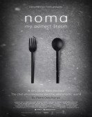 Noma: My Perfect Storm Free Download